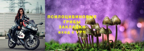 PSILOCYBIN Богородицк